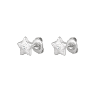  Stud Ster Zirkonia - Zilver