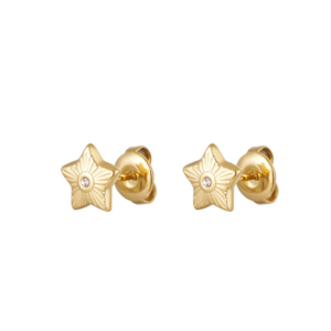  Stud Ster Zirkonia - Goud